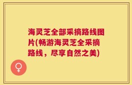 海灵芝全部采摘路线图片(畅游海灵芝全采摘路线，尽享自然之美)