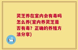 灵芝养在室内会有毒吗怎么养(室内养灵芝是否有毒？正确的养殖方法分享)
