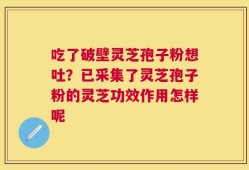 吃了破壁灵芝孢子粉想吐？已采集了灵芝孢子粉的灵芝功效作用怎样呢