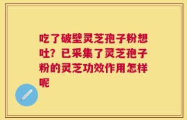 吃了破壁灵芝孢子粉想吐？已采集了灵芝孢子粉的灵芝功效作用怎样呢