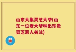山东大集灵芝大爷(山东一位老大爷种出珍贵灵芝惹人关注)