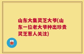 山东大集灵芝大爷(山东一位老大爷种出珍贵灵芝惹人关注)