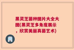 黑灵芝菌种图片大全大图(黑灵芝多角度展示，欣赏美丽真菌艺术)
