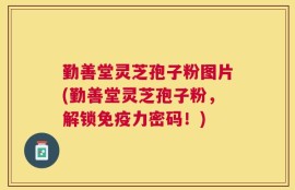 勤善堂灵芝孢子粉图片(勤善堂灵芝孢子粉，解锁免疫力密码！)