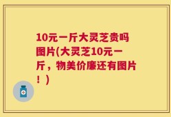 10元一斤大灵芝贵吗图片(大灵芝10元一斤，物美价廉还有图片！)