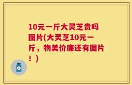 10元一斤大灵芝贵吗图片(大灵芝10元一斤，物美价廉还有图片！)