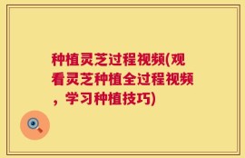 种植灵芝过程视频(观看灵芝种植全过程视频，学习种植技巧)