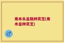 用木头盆栽种灵芝(用木盆种灵芝)