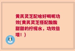 黄芪灵芝配啥好喝呢功效(黄芪灵芝搭配酸酸甜甜的柠檬水，功效倍增！)