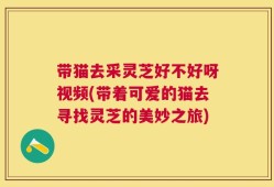 带猫去采灵芝好不好呀视频(带着可爱的猫去寻找灵芝的美妙之旅)