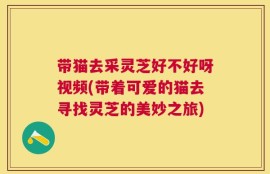 带猫去采灵芝好不好呀视频(带着可爱的猫去寻找灵芝的美妙之旅)
