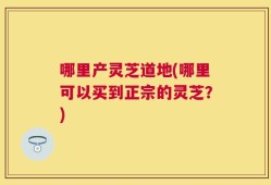 哪里产灵芝道地(哪里可以买到正宗的灵芝？)