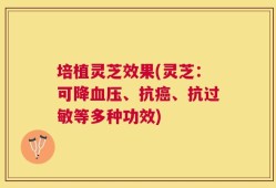 培植灵芝效果(灵芝：可降血压、抗癌、抗过敏等多种功效)