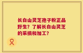 长白山灵芝孢子粉正品野生？了解长白山灵芝的采摘和加工？