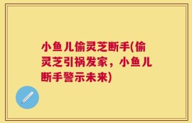 小鱼儿偷灵芝断手(偷灵芝引祸发家，小鱼儿断手警示未来)