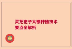 灵芝孢子大棚种植技术要点全解析