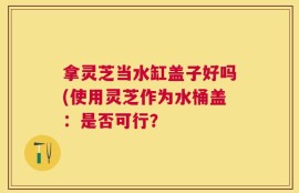 拿灵芝当水缸盖子好吗(使用灵芝作为水桶盖：是否可行？