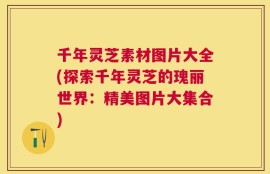 千年灵芝素材图片大全(探索千年灵芝的瑰丽世界：精美图片大集合)