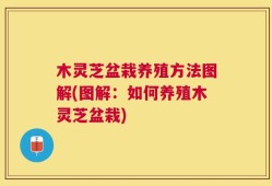 木灵芝盆栽养殖方法图解(图解：如何养殖木灵芝盆栽)