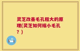 灵芝改善毛孔粗大的原理(灵芝如何缩小毛孔？)