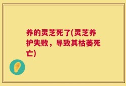 养的灵芝死了(灵芝养护失败，导致其枯萎死亡)