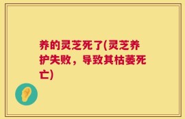 养的灵芝死了(灵芝养护失败，导致其枯萎死亡)