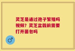 灵芝是通过孢子繁殖吗视频？灵芝盆栽前需要打开菌包吗