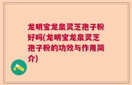 龙明宝龙泉灵芝孢子粉好吗(龙明宝龙泉灵芝孢子粉的功效与作用简介)