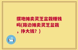 摆地摊卖灵芝盆栽赚钱吗(路边摊卖灵芝盆栽，挣大钱？)