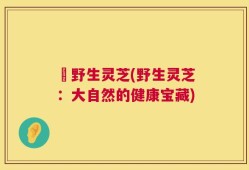 採野生灵芝(野生灵芝：大自然的健康宝藏)