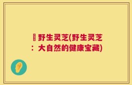 採野生灵芝(野生灵芝：大自然的健康宝藏)