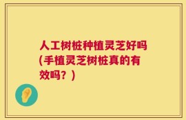 人工树桩种植灵芝好吗(手植灵芝树桩真的有效吗？)