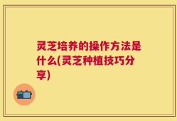 灵芝培养的操作方法是什么(灵芝种植技巧分享)
