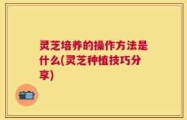 灵芝培养的操作方法是什么(灵芝种植技巧分享)