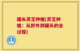 罐头灵芝种植(灵芝种植：从野外到罐头的全过程)