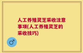 人工养殖灵芝采收注意事项(人工养殖灵芝的采收技巧)