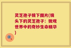 灵芝孢子镜下图片(镜头下的灵芝孢子：微观世界中的奇妙生命精华)