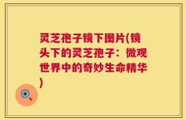 灵芝孢子镜下图片(镜头下的灵芝孢子：微观世界中的奇妙生命精华)