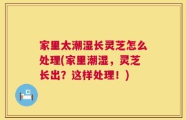 家里太潮湿长灵芝怎么处理(家里潮湿，灵芝长出？这样处理！)