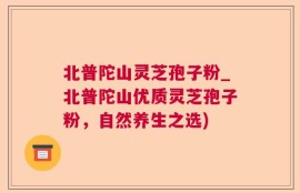 北普陀山灵芝孢子粉_北普陀山优质灵芝孢子粉，自然养生之选)