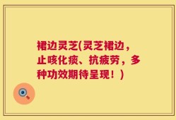 裙边灵芝(灵芝裙边，止咳化痰、抗疲劳，多种功效期待呈现！)