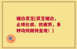 裙边灵芝(灵芝裙边，止咳化痰、抗疲劳，多种功效期待呈现！)