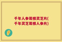 千年人参葛根灵芝片(千年灵芝葛根人参片)