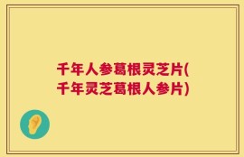 千年人参葛根灵芝片(千年灵芝葛根人参片)