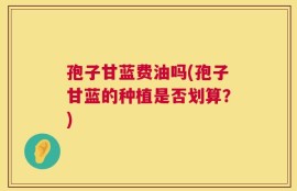 孢子甘蓝费油吗(孢子甘蓝的种植是否划算？)