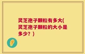 灵芝孢子颗粒有多大(灵芝孢子颗粒的大小是多少？)