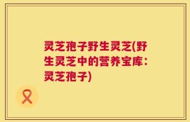 灵芝孢子野生灵芝(野生灵芝中的营养宝库：灵芝孢子)