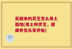 买回来的灵芝怎么用土栽培(用土种灵芝，健康养生从家开始)