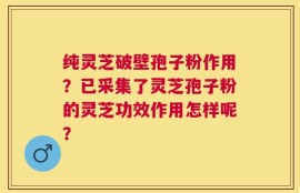 纯灵芝破壁孢子粉作用？已采集了灵芝孢子粉的灵芝功效作用怎样呢？