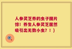 人参灵芝养的虫子图片惊！养生人参灵芝居然吸引出无数小虫？！)